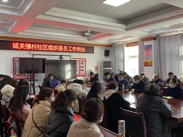 村社会组织委员工作例会100副本.jpg