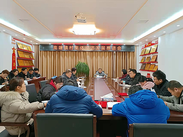 村集体经济发展推进会.jpg
