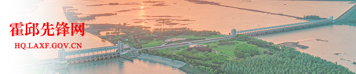 霍邱县先锋网